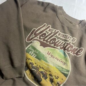 Yellowstone Wyoming XL Men's Graphic Brown Sweatshirt